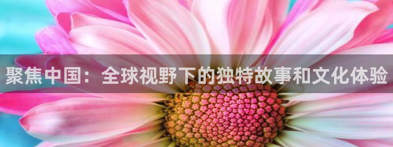 天辰娱乐平台官网版最新