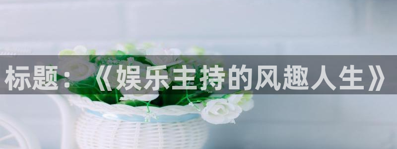 天辰娱乐是什么：标题：《娱乐主持的风趣人生》