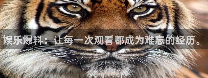 天辰娱乐现在优惠多少：娱乐爆料：让每一次观看都成为难忘的经历。