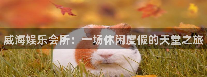 天辰娱乐官网注册：威海娱乐会所：一场休闲度假的天堂之旅