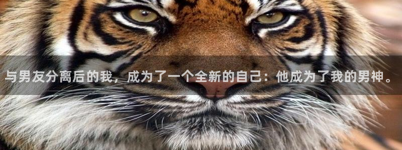 天辰娱乐体育老板是谁：与男友分离后的我，成为了一个全新的自己：他成为了我的男神。