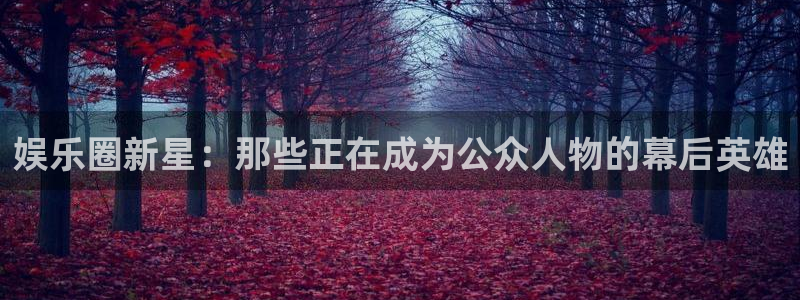 天辰娱乐集团官网：娱乐圈新星：那些正在成为公众人物的幕后英雄