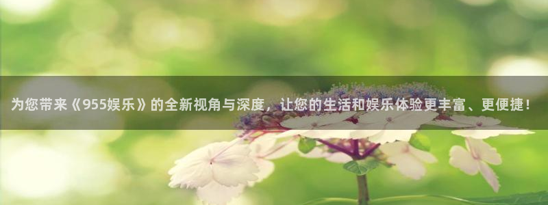 天辰娱乐体育凯捷登陆：为您带来《955娱乐》的全新视角与深度，让您的生活和娱乐体