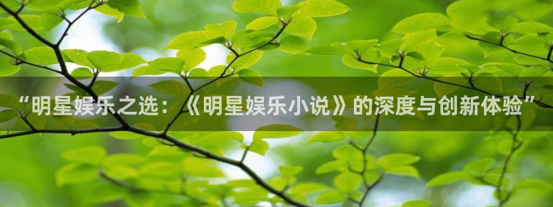 天辰娱乐体育论坛：“明星娱乐之选：《明星娱乐小说》的深度与创新体验”
