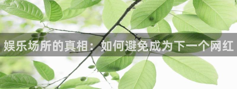 天辰娱乐平台最新版本下载：娱乐场所的真相：如何避免成为下一个网红