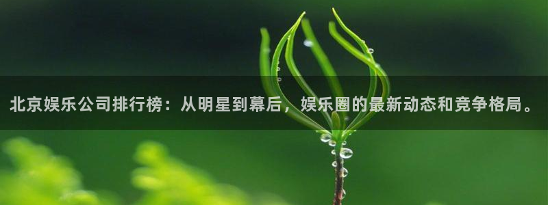 东莞市天辰娱乐电子科技有限公司：北京娱乐公司排行榜：从明星到幕后，娱乐圈的最新动