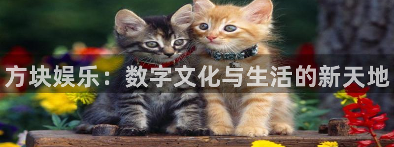 天辰娱乐平台登录入口：方块娱乐：数字文化与生活的新天地