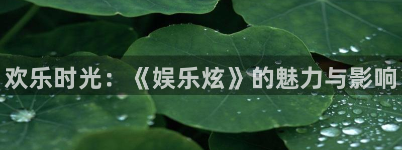 天辰娱乐注册网站：欢乐时光：《娱乐炫》的魅力与影响