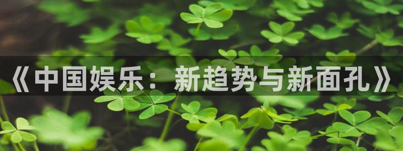 天辰娱乐账号注册：《中国娱乐：新趋势与新面孔》