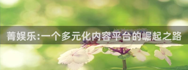 天辰娱乐平台官方网站：菁娱乐:一个多元化内容平台的崛起之路