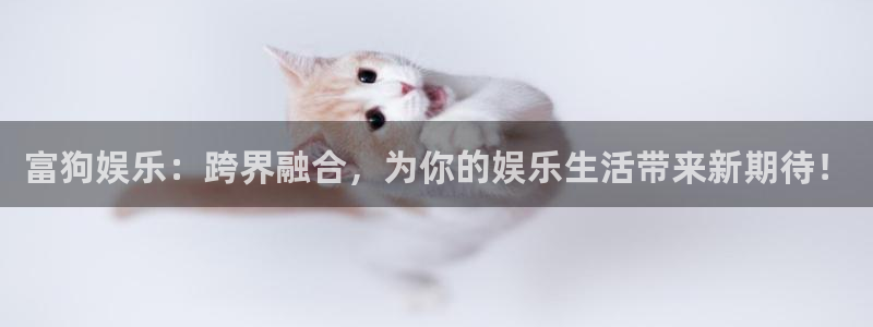 天辰娱乐体育免费注册入口：富狗娱乐：跨界融合，为你的娱乐生活带来新期待！