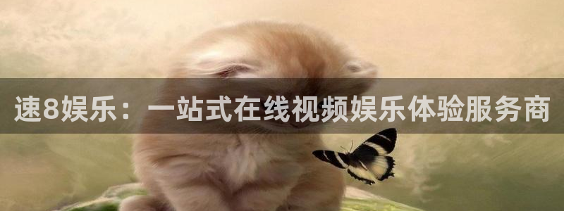 天辰娱乐是赌博吗：速8娱乐：一站式在线视频娱乐体验服务商