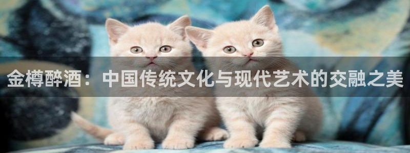 天辰娱乐体育和杏耀是哪个公司的：金樽醉酒：中国传统文化与现代艺术的交融之美
