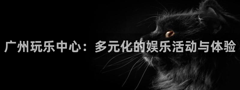 天辰娱乐链接：广州玩乐中心：多元化的娱乐活动与体验