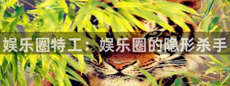 天辰娱乐平台开户：娱乐圈特工：娱乐圈的隐形杀手