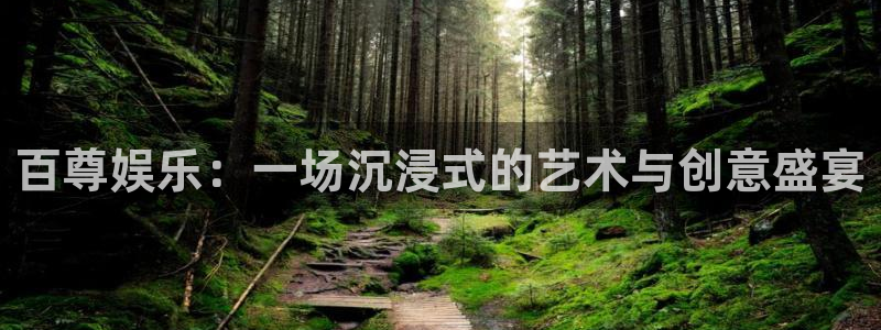 天辰娱乐体育注册登录入口：百尊娱乐：一场沉浸式的艺术与创意盛宴