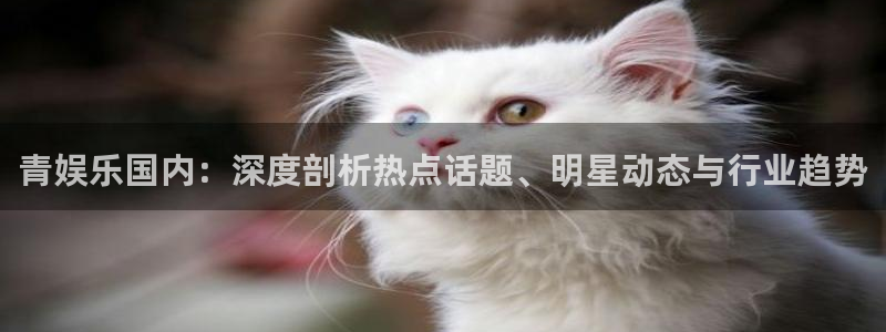 天辰娱乐app：青娱乐国内：深度剖析热点话题、明星动态与行业趋势
