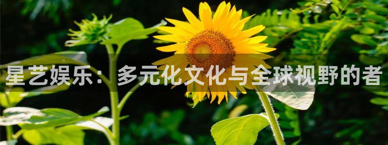 天辰娱乐注册网站链接：星艺娱乐：多元化文化与全球视野的者