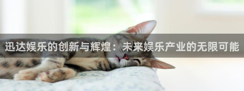 天辰娱乐体育：迅达娱乐的创新与辉煌：未来娱乐产业的无限可能