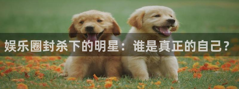 天辰娱乐ccmpc：娱乐圈封杀下的明星：谁是真正的自己？